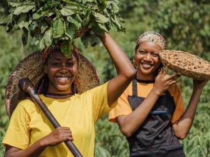 博鱼：打造极致体育娱乐体验 - 博鱼