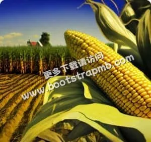 全方位服务支持，全程无忧 - 博鱼