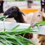 探索体育的无限魅力 - 博鱼